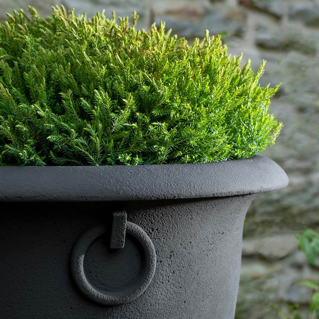 Photo of Campania Chartwell Planter - Marquis Gardens