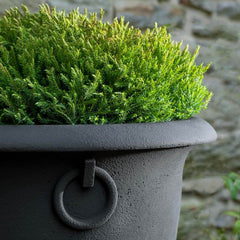 Photo of Campania Chartwell Planter - Marquis Gardens