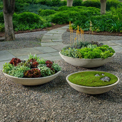 Campania Enso Bowl