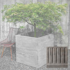 Campania Chenes Brut Planters