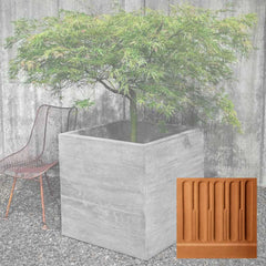 Campania Chenes Brut Planters