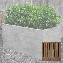 Campania Chenes Brut Planters