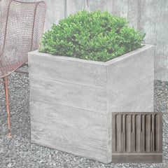 Campania Chenes Brut Planters