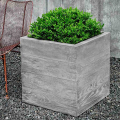 Campania Chenes Brut Planters