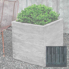 Campania Chenes Brut Planters