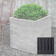 Campania Chenes Brut Planters