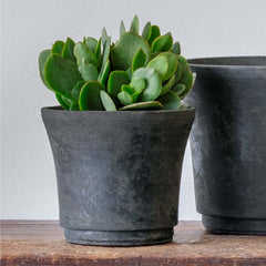 Cloche Planter - Extra Small - Brown