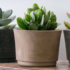 Campania Cloche Planter