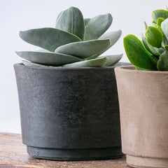 Cloche Planter - Wide - Brown