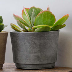Cloche Planter - Wide - Brown