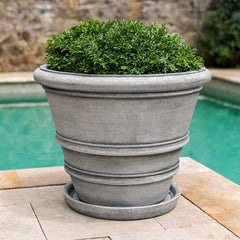 Photo of Campania Saucers - Marquis Gardens