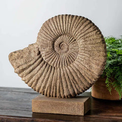 Photo of Campania Ammonite Planters - Marquis Gardens