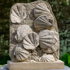 Campania Scallop Shell Fossil
