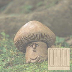 Campania Shroom