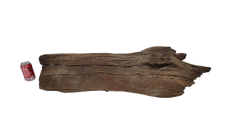 Photo of Sunken Log 001 - Marquis Gardens
