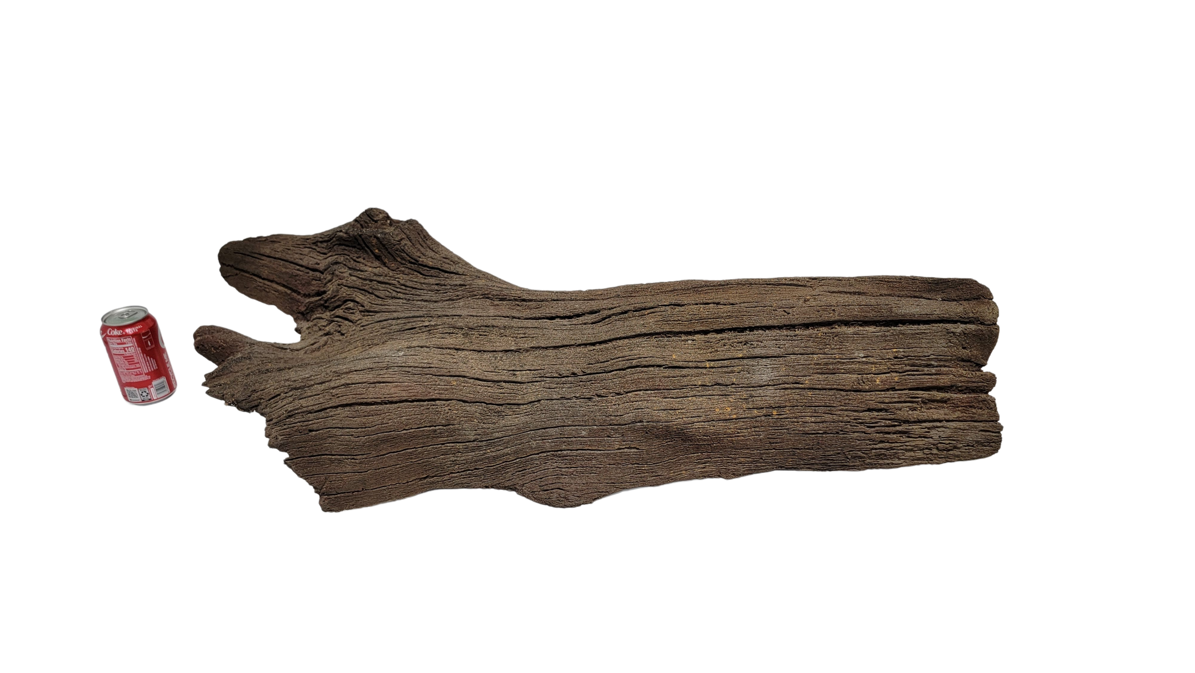 Photo of Sunken Log 001 - Marquis Gardens
