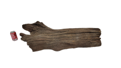 Photo of Sunken Log 001 - Marquis Gardens