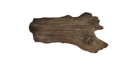 Photo of Sunken Log 001 - Marquis Gardens