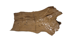 Photo of Sunken Log 001 - Marquis Gardens