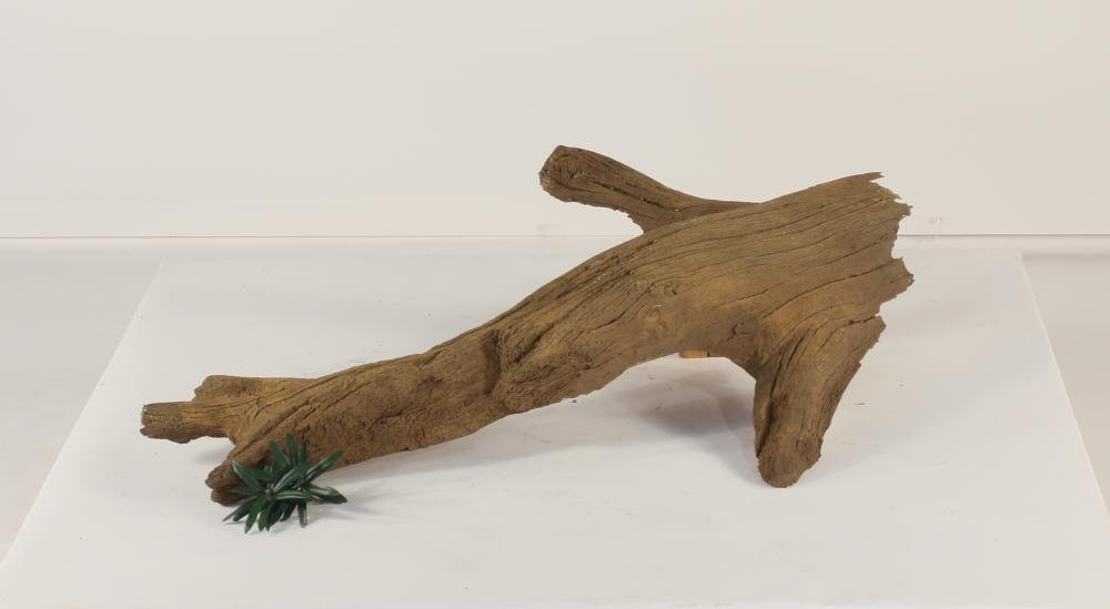 Photo of Floating Log 001 - Marquis Gardens