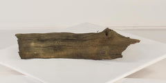 Photo of Floating Log 005 - Marquis Gardens