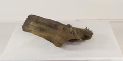 Photo of Floating Log 005 - Marquis Gardens