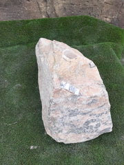 Granite Bubble Rock - 180