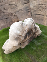 Moss Bubble Rock - 186