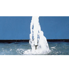 Photo of Stainless Steel Fountain Nozzle - Frothy 1" - Marquis Gardens