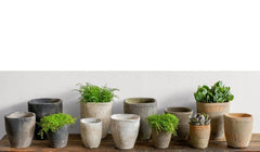 Photo of Campania Farmer's Pot Squared Cylinder - Mixed - Set of 24 - Marquis Gardens