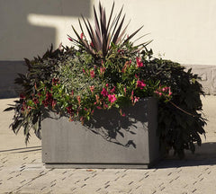 Photo of SQ Series Commercial Planters - Marquis Gardens