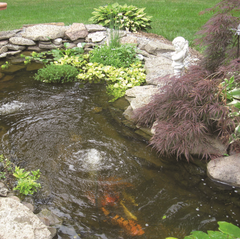 Photo of EasyPro Quick Sink PVC Hose - Marquis Gardens
