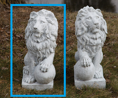 Photo of Lion Right / Left Paw on Ball - Marquis Gardens