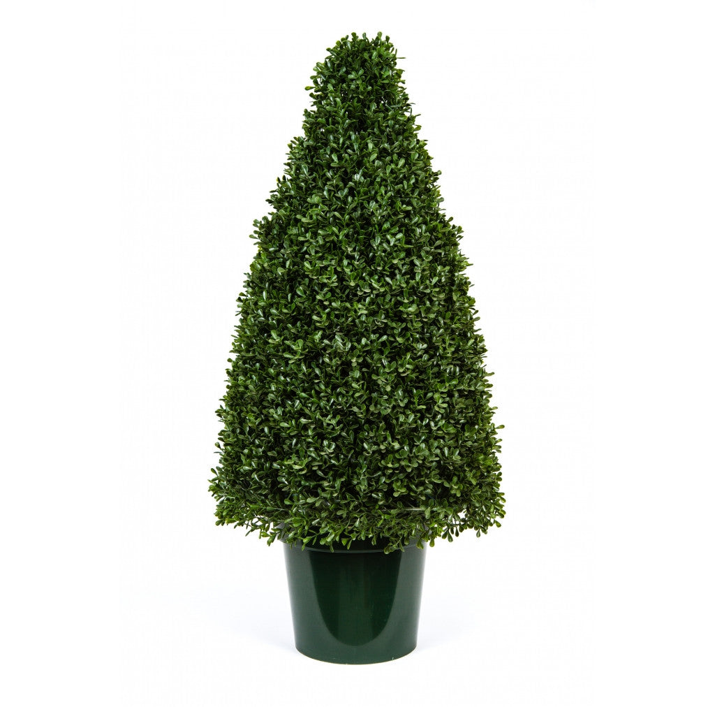 Photo of Tea Leaf Cone Topiary, 36"  - Marquis Gardens