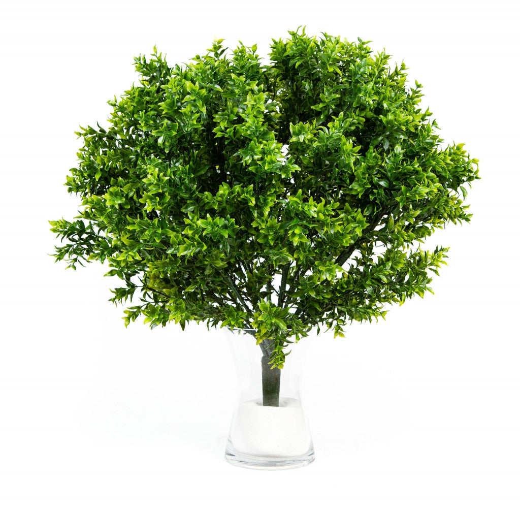 Photo of Opal Basil Topiary, 24"  - Marquis Gardens