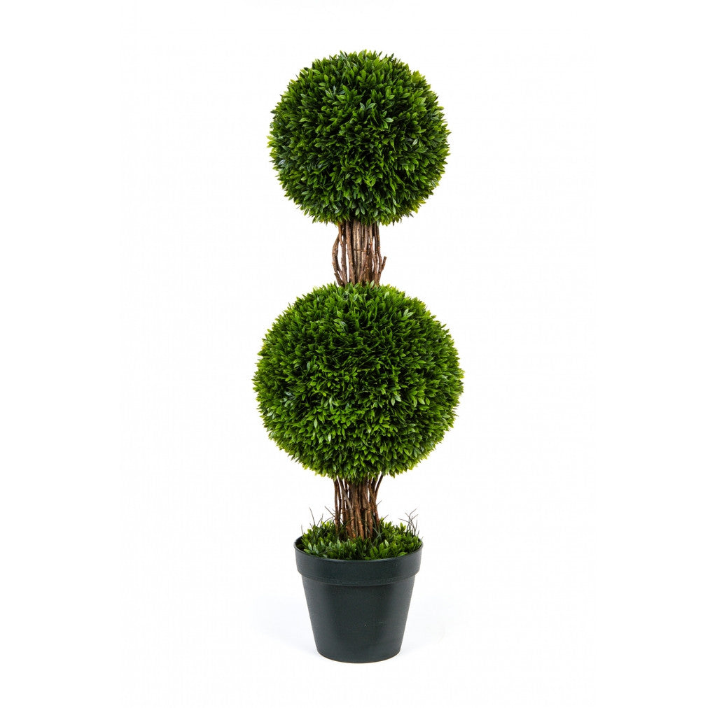 Photo of Podocarpus Topiary With Two Ball, 36"  - Marquis Gardens