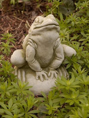 Photo of Campania Frankie Frog - Marquis Gardens