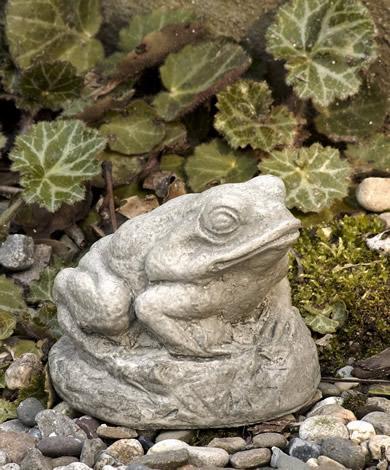 Photo of Campania Tiny Frog - Marquis Gardens