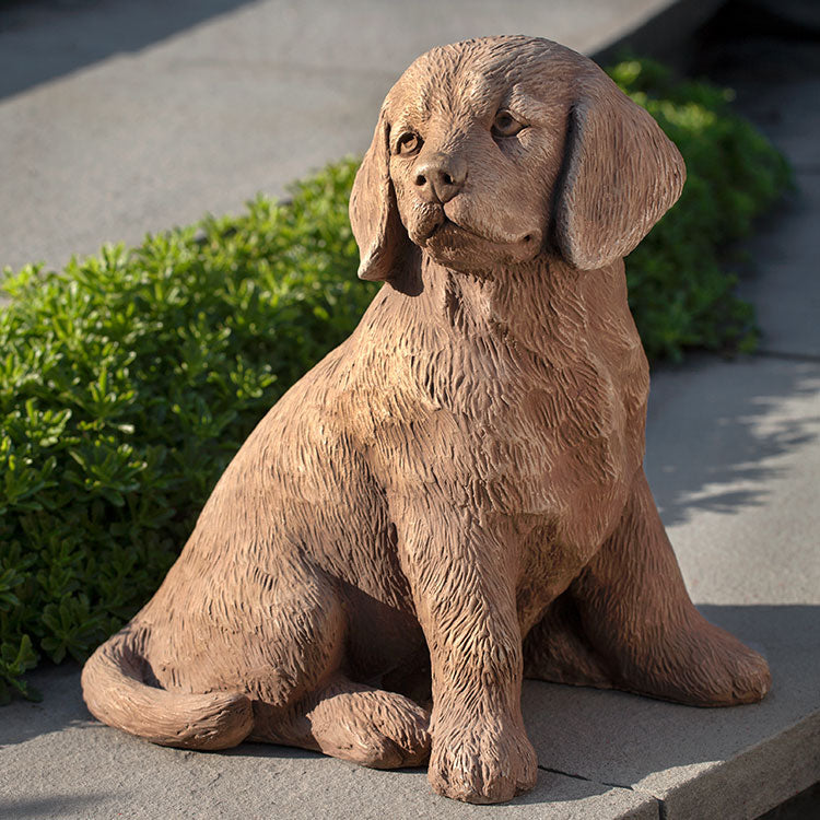 Photo of Campania Golden Retriever Puppy - Marquis Gardens