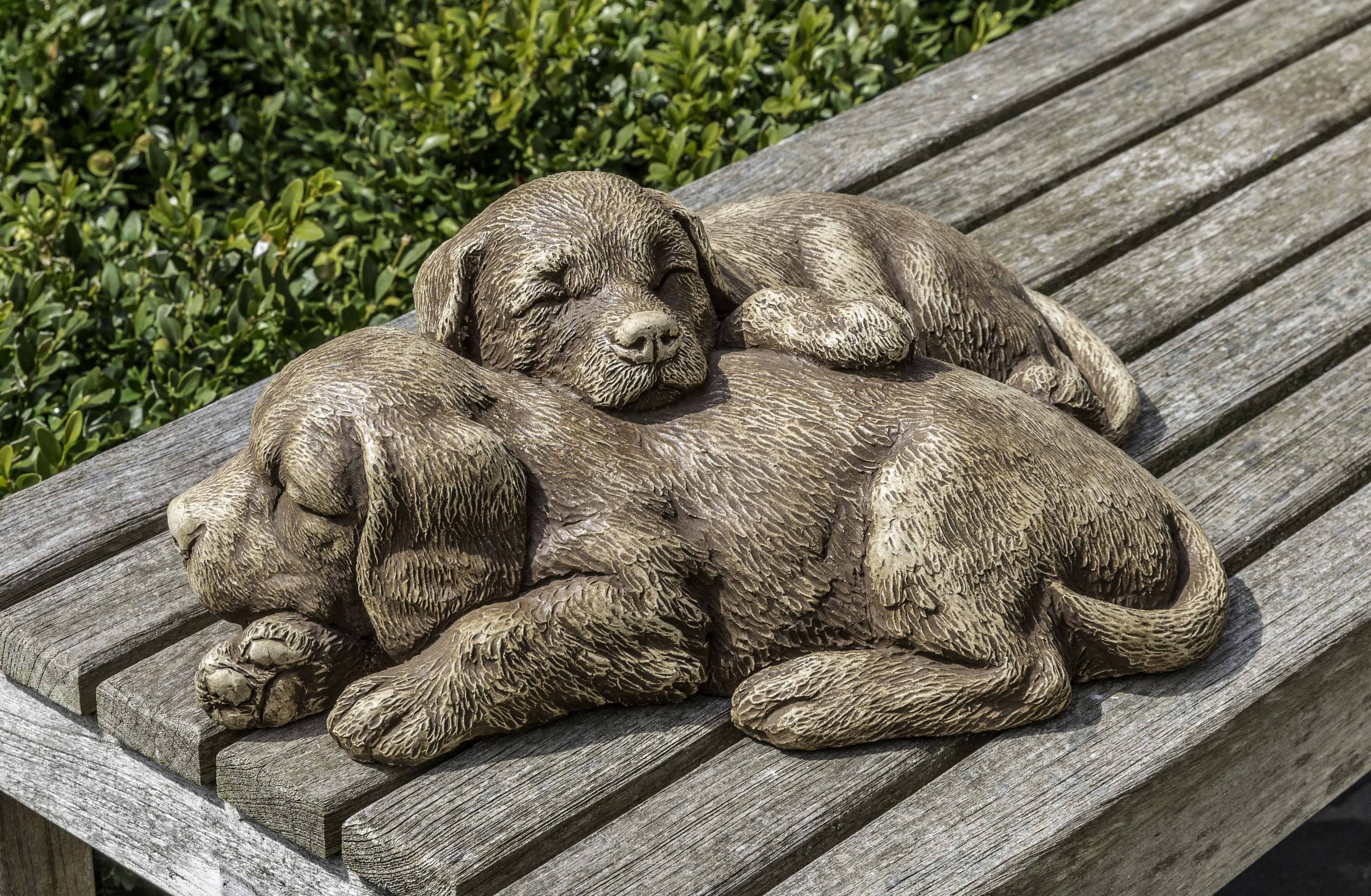 Photo of Campania Nap Time Puppies - Marquis Gardens