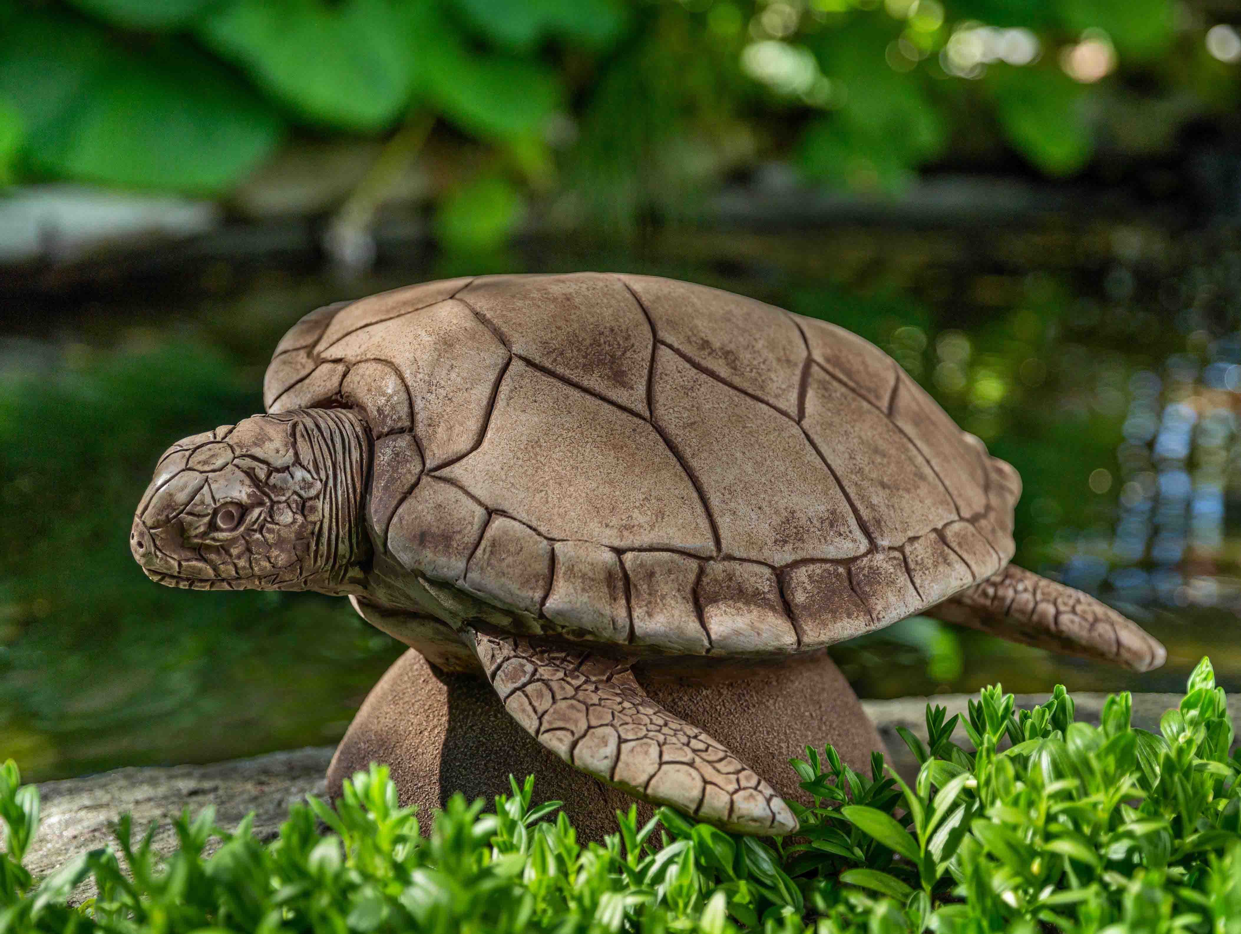 Photo of Campania Large Sea Turtle - Marquis Gardens