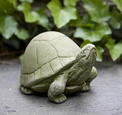 Photo of Campania Box Turtle - Marquis Gardens