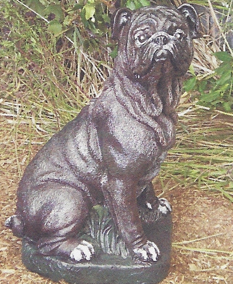 Photo of Bulldog 19" - Marquis Gardens