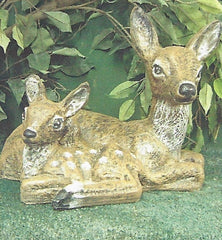 Photo of Deer - Mother and Baby - Marquis Gardens
