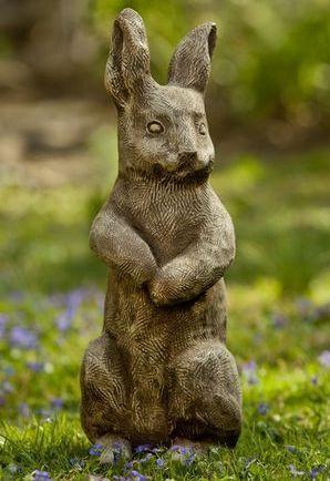 Photo of Campania Father Rabbit - Marquis Gardens