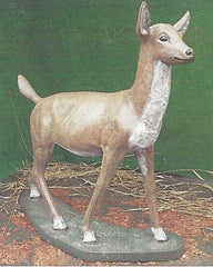 Photo of Large Doe - Marquis Gardens