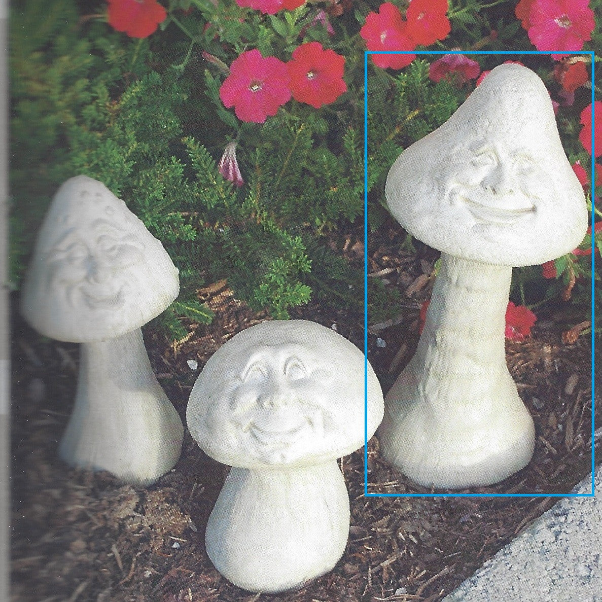Photo of Happy Mushroom - Marquis Gardens