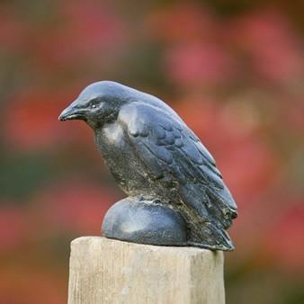Photo of Campania Small Raven - Marquis Gardens