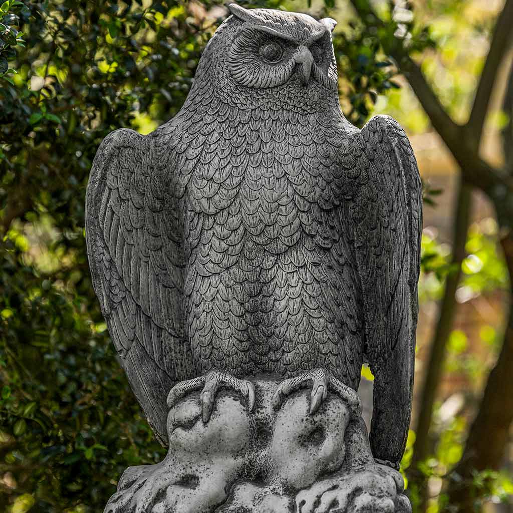 Photo of Campania August Owl - Marquis Gardens